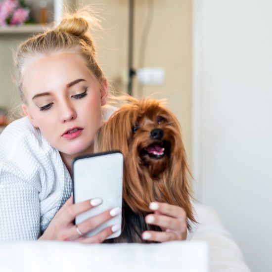 Beautiful young attractive Caucasian woman using cellphone or smartphone chat to her friend with her dog on the bed in the morning